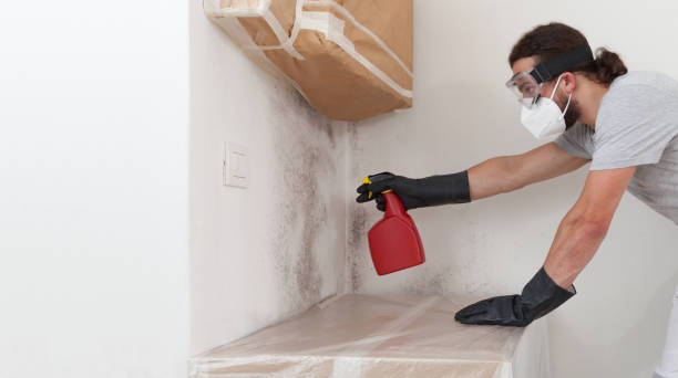Professional Attic Mold Remediation technician working in Voorhees, NJ