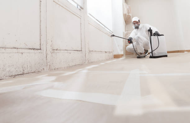 24/7 Emergency Attic Mold Remediation experts in Voorhees, NJ