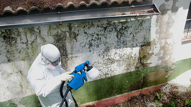 Top rated local Attic Mold Remediation specialists in Voorhees, NJ
